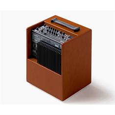 Schertler - DAVID W Acoustic Amplifier back