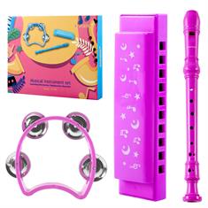 Harmonica, recorder, tambourine set in pink