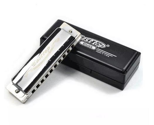 Easttop harmonica diatonic 10 hole - Model T008