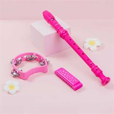 Harmonica, recorder, tambourine set in pink
