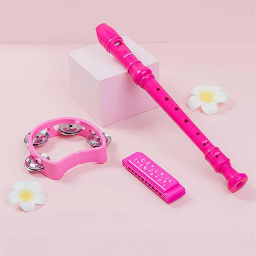 Harmonica, recorder, tambourine set in pink
