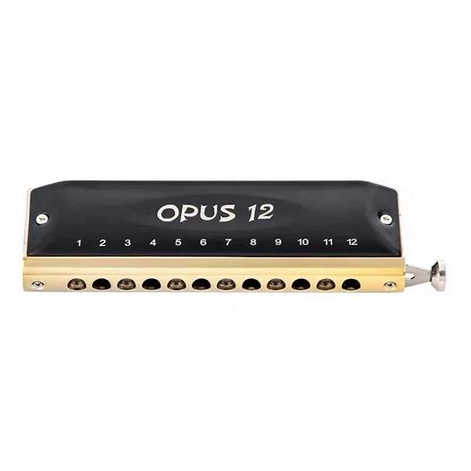 Easttop Opus 12 hole chromatic harmonica - Key: C