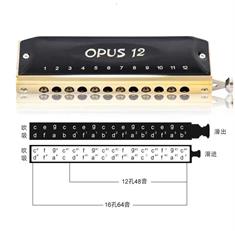 Easttop Opus 12 hole chromatic harmonica scale