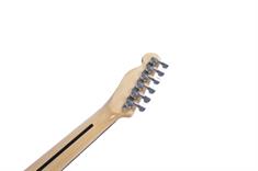 Pearl River Electric Guitar - GTL20-N close up back