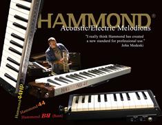 Hammond PRO-24B Elektric Acoustic Melodion 