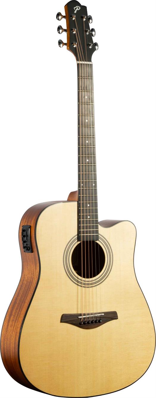Pearl River Acoustic Guitar - L21-DCEQ 