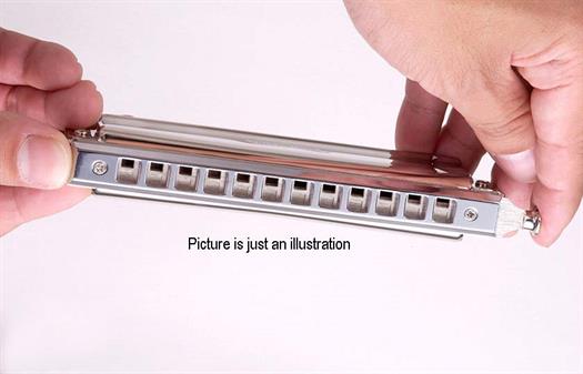 Suzuki slides for harmonica - Select your model.