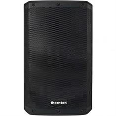 Thornton Phoenix 15P Speaker (passive)