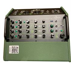 Acemic Ellipse 240W battery powered amplifier - Q2 GREEN top