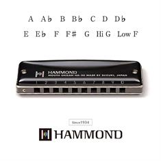 Suzuki Hammond HA-20 harmonica keys