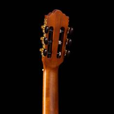 CL20 Classic Guitar - Headstock Back