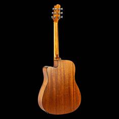 L21-DCEQ Acoustic Guitar Back