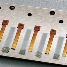 Suzuki harmonicas single reeds 